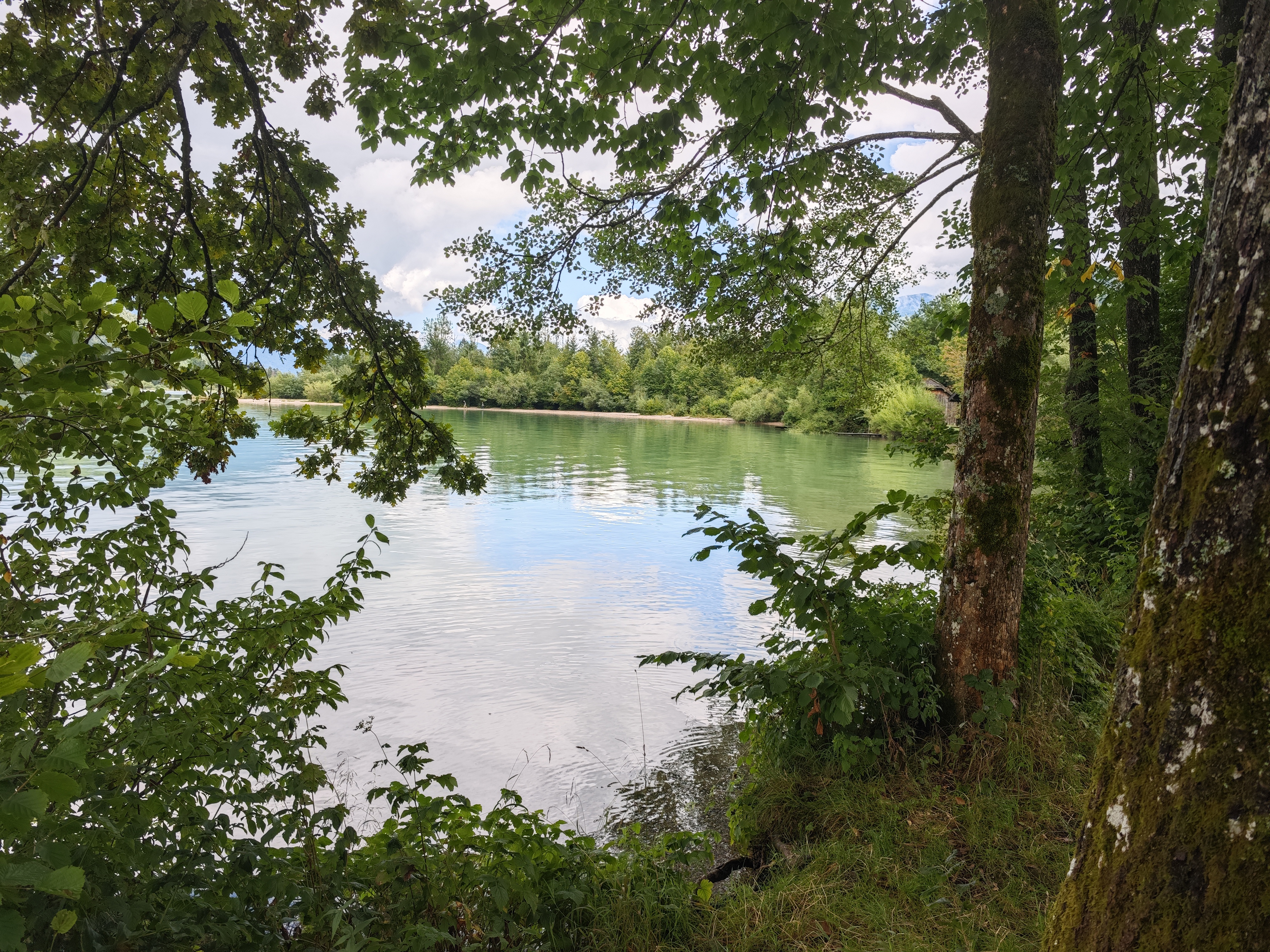 Week 33/2025
