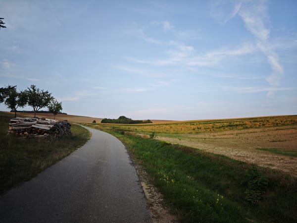 Week 36/2024